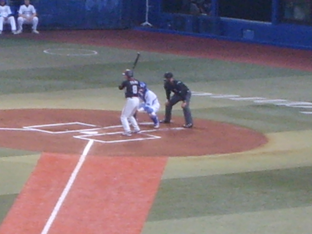Baseball Game! (Yokohama)